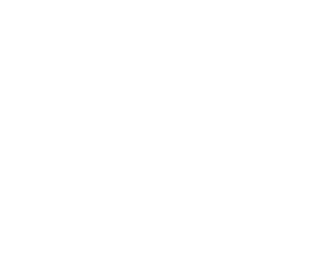 Global Wind Consulting company logo in white