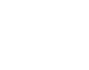 Wind Trade Academy company logo in white