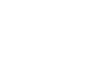 Cosmo_Eco_Power_2_Logo_White_301_238